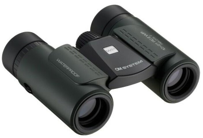 Olympus OM Systems Slim 10x21 RC II VP dark green (V656014EU000)