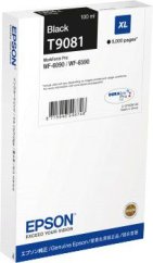 Epson Toner C13T908140 / T9081 (black)