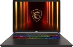 MSI Vector 17 HX AI A2XWJG-089XPL / 32 GB RAM / 1 TB SSD PCIe / Windows 11 Home