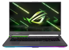 Asus ROG Strix G17 G713 (G713RW-LL115W)