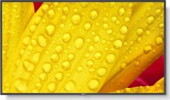 NEC Monitor wielkoformatowy MultiSync M431-2 43 cale UHD 500cd/m2 24/7