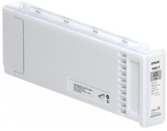Epson Singlepack GS3 T891700 L Juodas (C13T891700)