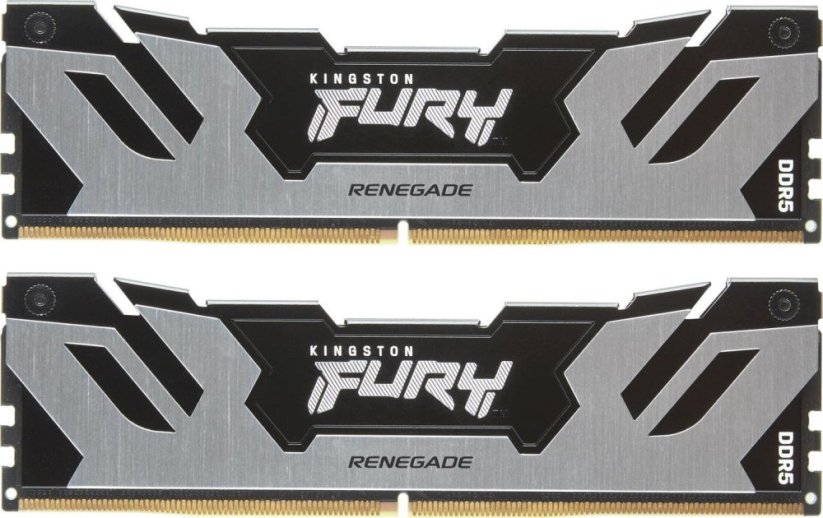 Kingston Fury Renegade, DDR5, 64 GB, 6400MHz, CL32 (KF564C32RSK264)