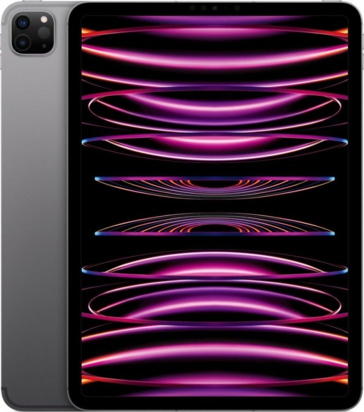 Apple iPad Pro 11 (2022) 1TB Wi-Fi + Cellular Space Gray MNYJ3FD/A
