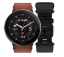 Polar Ignite 3 Titanium Brown