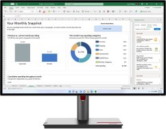 Lenovo LENOVO ThinkVision P27h-30 27inch 2560x1440 IPS 16:9 350cd/m2 HDMI DP USB Hub
