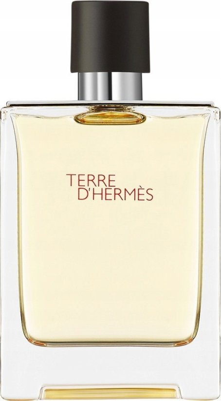 Hermès Hermes Terre D'hermes Eau De Toilette Purškiklis 100ml MEN