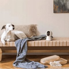 Arenti Arenti Indoor 5G Wi-Fi UHD 3K/5MP Pan Tilt Zoom Priv Cam