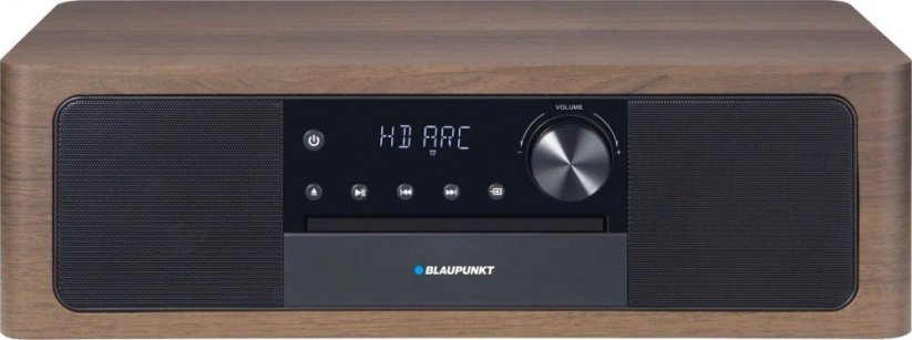Blaupunkt  MS22BT