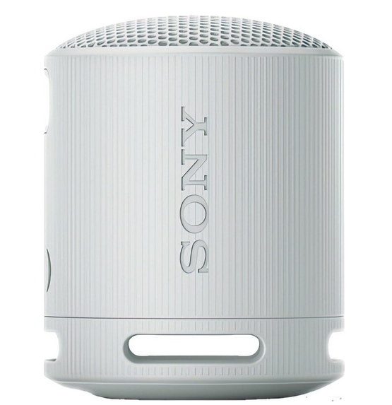 Sony SRS-XB100 sivý (SRSXB100H.CE7)
