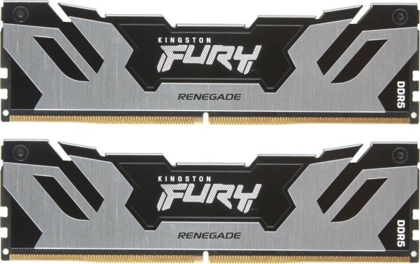 Kingston Fury Renegade, DDR5, 48 GB, 8400MHz, CL40 (KF584CU40RSK2-48)