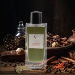 Aurora Aurora, Aroma VII, Eau De Parfum, For Men, 100 ml For Men MEN