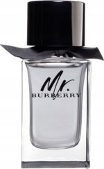 Burberry Mr. Burberry EDT 100 ml MEN