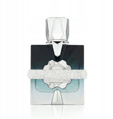 Histoires de Parfums Aromatix Frostbite Eau de Parfum 100ml MEN