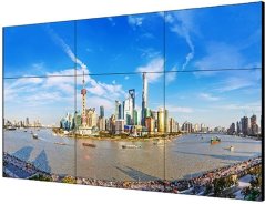 Hikvision 55" (DS-D2055LE-G)