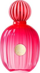 Antonio Banderas Antonio Banderas The Icon For Women edp 100ml WOMEN