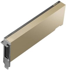 NVIDIA NVIDIA L4 - GPU-Rechenprozessor - L4 - 24 GB GDDR6 - PCIe 4.0 x16 Low-Profile - ohne Lufter