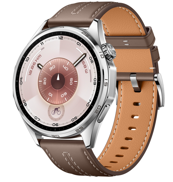 Huawei Watch GT6 46mm Classic hnedý (Atum-B19L)