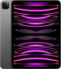 Apple iPad Pro 11" (2022) 2 TB Sivý (MNXM3FD/A)