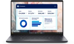 Dell DELL NTB Pro 13 Premium PA13250/U5-236V/Evo/16GB/512GB SSD/13.4" FHD+|IR Cam & Mic/65W/Backlit Kb/W11 Pro/3Y PS NBD