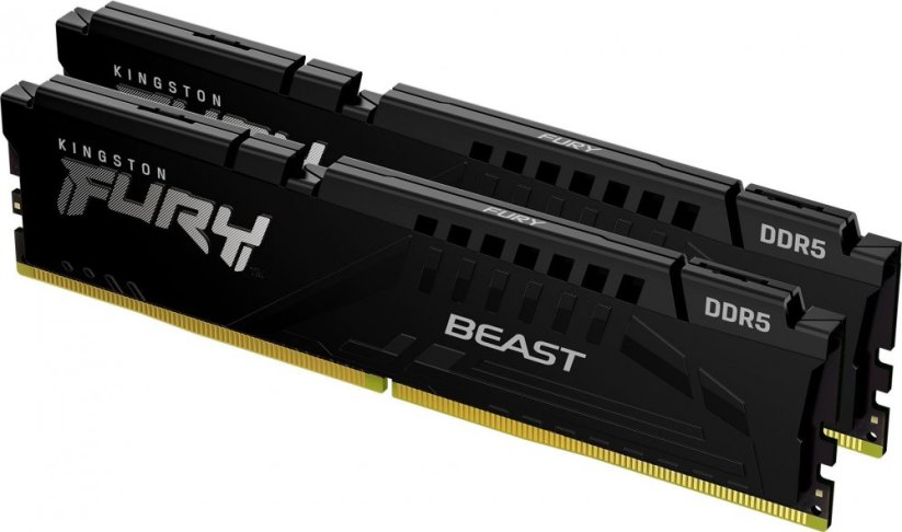 Kingston Fury Beast, DDR5, 16 GB, 6000MHz, CL36 (KF560C36BBEK2-16)