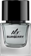 Burberry BURBERRY Mr. Burberry EDT spray 50ml WOMEN