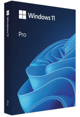 Microsoft Windows 11 Pro EN 64 bit BOX (HAV-00163)