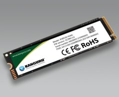 iStorage KSED30-NVME-1T 1TB