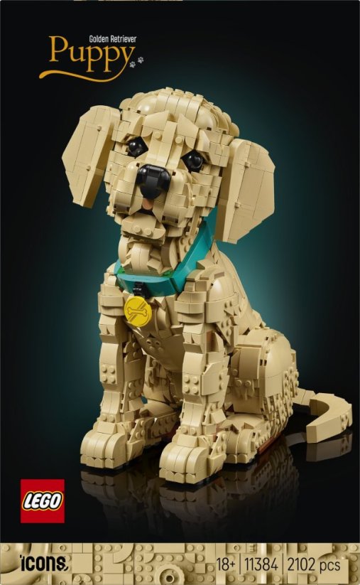 LEGO Icons Szczeniak golden retriever (11384)