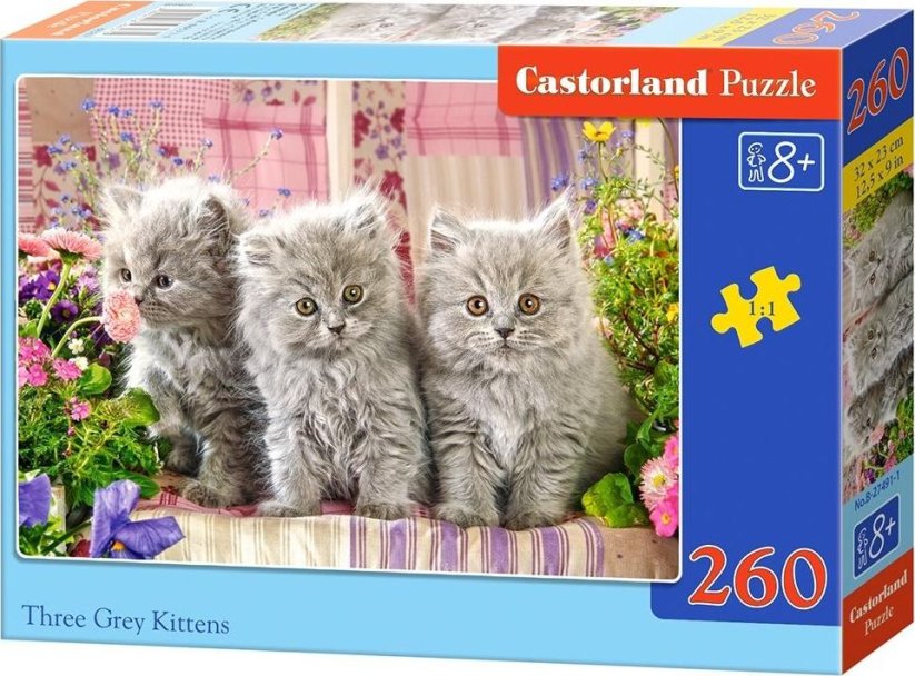 Castorland Puzzle Trzy sivé kotki