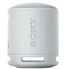 Sony SRS-XB100 sivý (SRSXB100H.CE7)