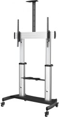 StarTech Stojak podłogowy STNDMTV100 60'' - 100''
