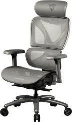 ThunderX3 ThunderX3 XTC-Mesh Gaming Stuhl - grau