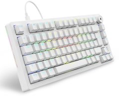 Sharkoon Sharkoon Gaming Tastatur Skiller SGK25 weiß DE