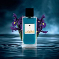 Aurora Aurora, Aroma IV, Eau De Parfum, For Men, 100 ml For Men MEN