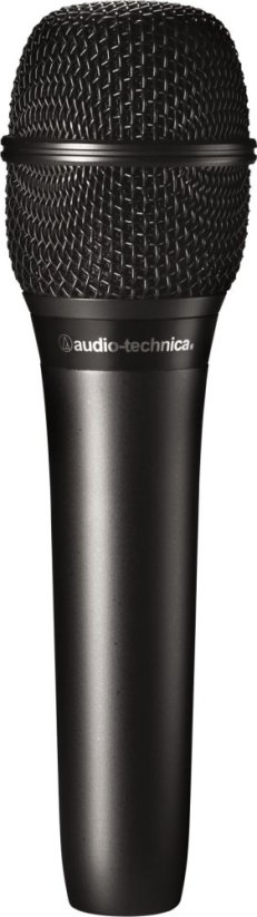 Audio-Technica AT2010