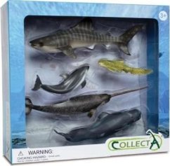 Collecta Sada 5 morskich zvieratá w opakowaniu 89671 COLLECTA