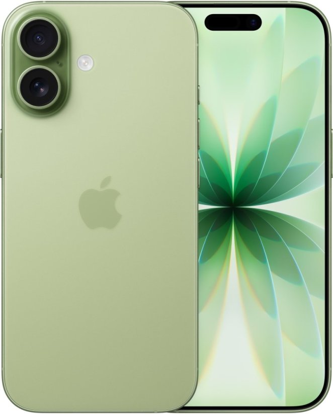 Apple iPhone 17 256GB, sage (EU)