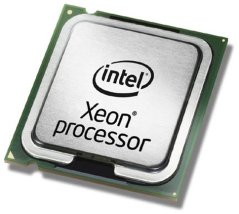 Fujitsu Intel Xeon Gold 5217 procesor 3 GHz 11 MB L3