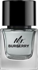 Burberry BURBERRY Mr. Burberry EDT spray 50ml WOMEN