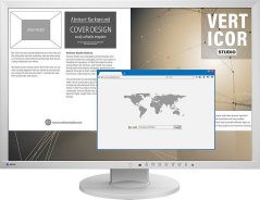 Eizo FlexScan EV2430-GY