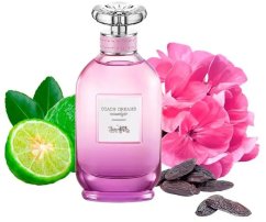 Coach Dreams Moonlight EDP W 60 ml WOMEN