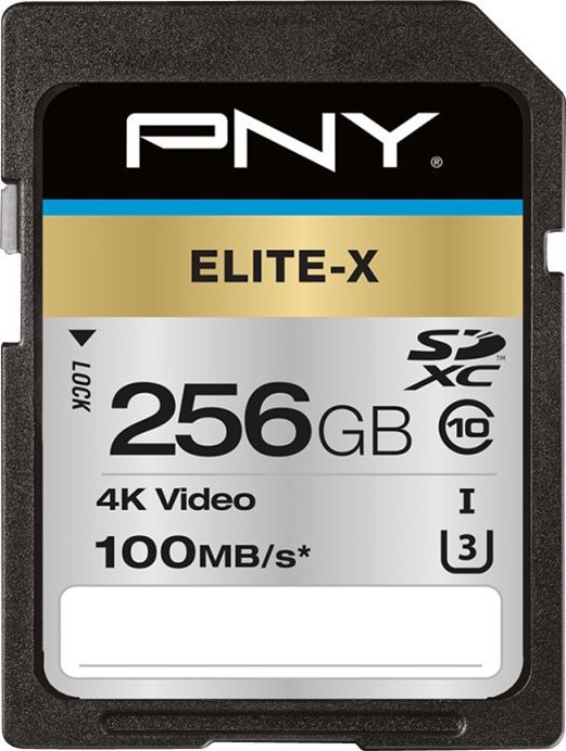 PNY Elite-X SDXC 256 GB Class 10 UHS-I/U3  (P-SD256U3100EX-GE)