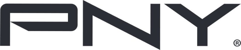 PNY PRO ELITE HIGH ENDURANCE 256GB