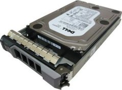 Dell 4TB NL-SAS 4 TB 3.5'' SAS-3 (12Gb/s)  (400-ATKL)