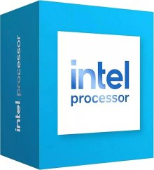 Intel Intel 300 2 cores (2 P-cores + 0 E-cores) up to 3.9 GHz