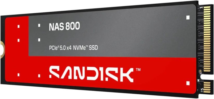 SanDisk 1.92 TB NAS 800 NVME SDSNP2192TAN (SDSNP2192TAN-000E0)