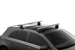 Thule Evo  Fixpoint  2  Pack,  Halterung