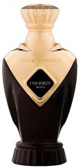 Paris Corner Paris Corner Prodigy Noir parfumovaná voda spray 100ml MEN