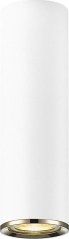 Zuma Line Oprawa natynkowa spot LOYA C0461-01B-A0SB Zuma Line